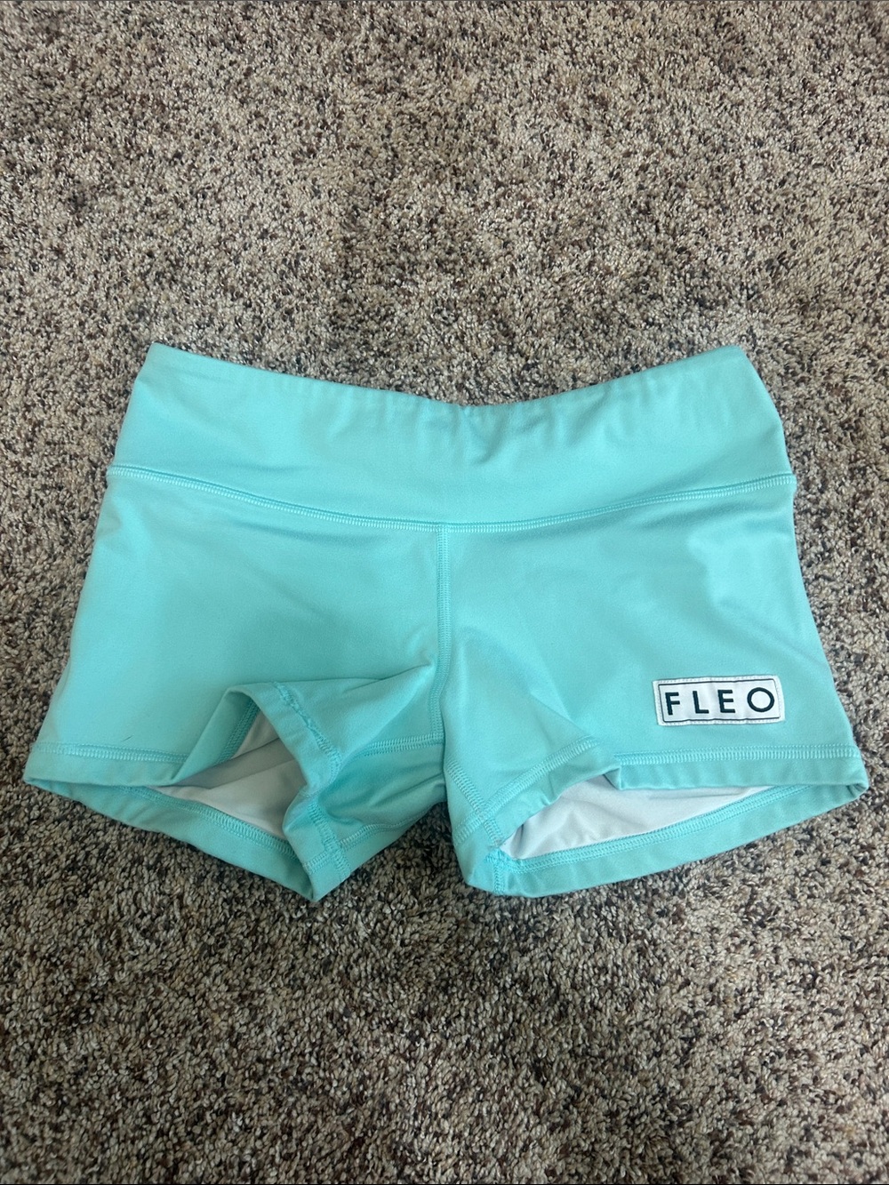 Fleo Turquoise Shorts